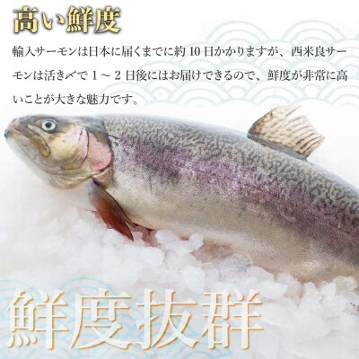 【ふるさと納税】西米良サーモン フィレ2枚とアラ1パック魚 海鮮 ご当地サーモン 鮭 刺身  西米良
