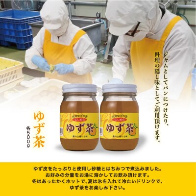 [西米良村ふるさと納税]　ゆず茶 2本セット(各500g)　
