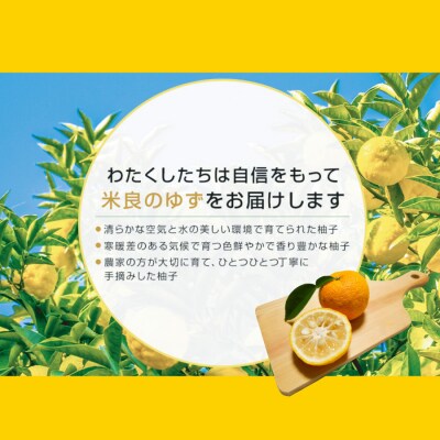 [西米良村ふるさと納税]　ゆず茶 2本セット(各500g)　