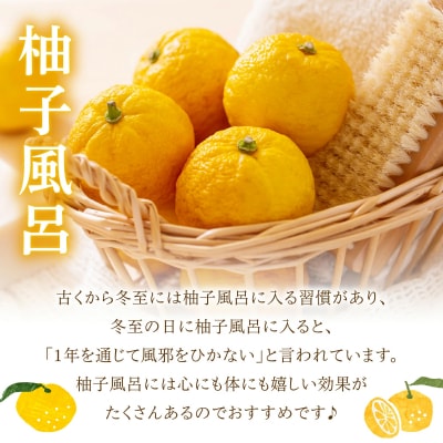 【ふるさと納税】黄柚子柚子 ユズ ゆず 黄柚子 柑橘 かんきつ 柚子風呂 風呂 西米良
