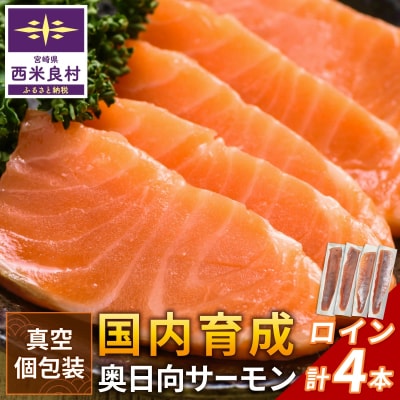 【ふるさと納税】奥日向サーモン　ロイン(皮なし柵どり真空)  