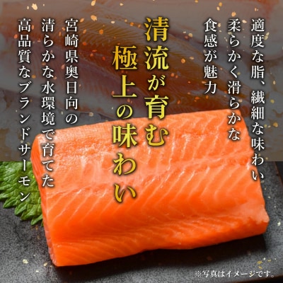 【ふるさと納税】奥日向サーモン　ロイン(皮なし柵どり真空)  