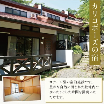 【ふるさと納税】西米良温泉「ゆた～と」コテージB (ロフト付) ペア宿泊券 (1泊2食付)