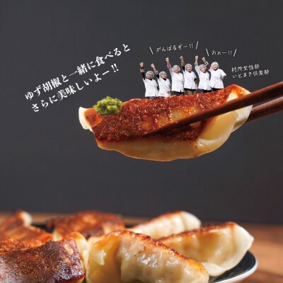 [ふるさと納税]鹿肉餃子(10個入)鹿肉　ジビエ　焼き餃子　水餃子　宮崎県　西米良村　国産