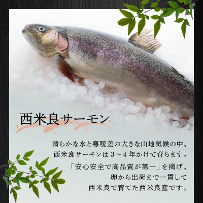 【西米良村ふるさと納税】西米良サーモン ロイン(皮なし柵どり真空)4本