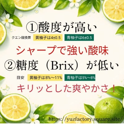 青柚子果汁100%　2000ml(1000ml×2パック)