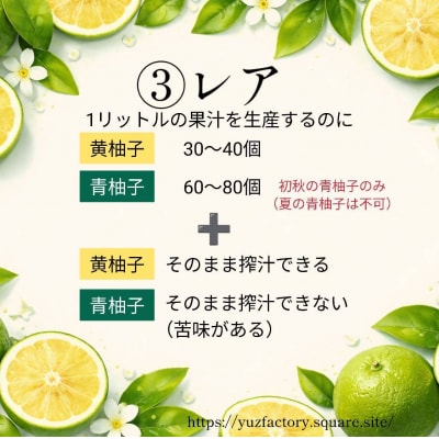 青柚子果汁100%　2000ml(1000ml×2パック)