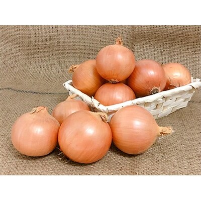 北海道今金産玉ねぎ Mサイズ 13kg