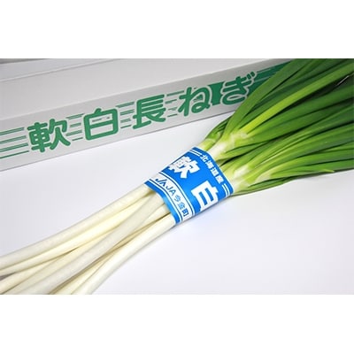 今金産軟白長ねぎ1kg
