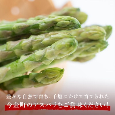 【訳あり】 朝採れ新鮮アスパラ 約2kg (S～2Lサイズ混合) 北海道産