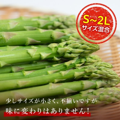 【訳あり】 朝採れ新鮮アスパラ 約1kg (S～2Lサイズ混合) 北海道産