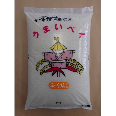 令和6年産 今金産 ふっくりんこ精米 10kg(5kg×2袋)