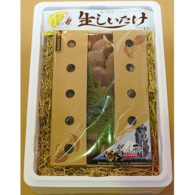 原木栽培 生椎茸 約1kg