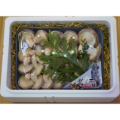 原木栽培 生椎茸 約500g