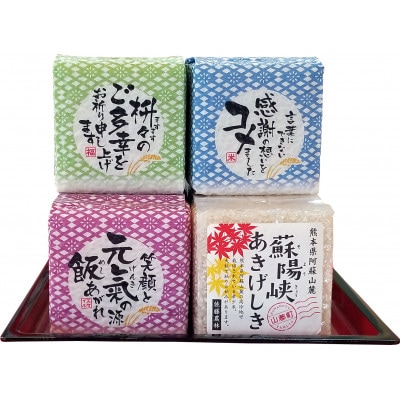 熊本県阿蘇山麓　蘇陽峡「あきげしき」約300g×15個
