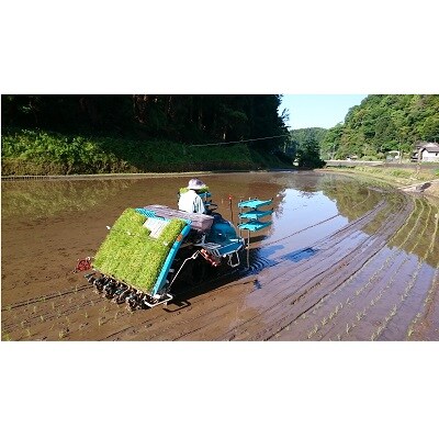 熊本県山都町産「氷温熟成・合鴨米」コシヒカリ(白米)8kg(2kg×4個 ※脱酸素剤入り)