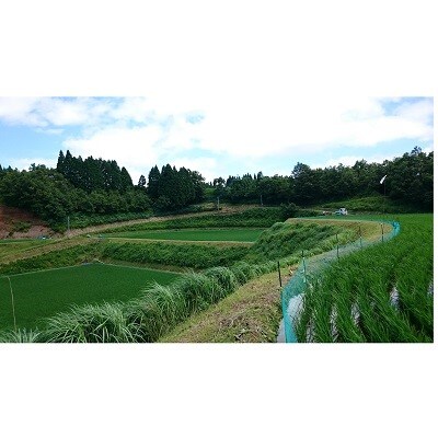 令和2年産熊本県山都町産「合鴨米」ヒノヒカリ(玄米)5kg