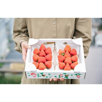 食べ比べイチゴセット　280g×4パック(よつぼし、恋みのり、ゆうべに、紅ほっぺから2種以上)