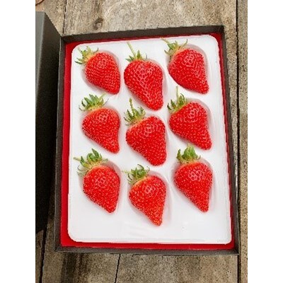 なかはた農園のイチゴギフト(9～15粒　450g)