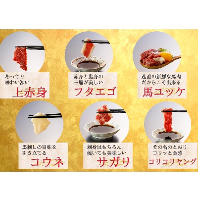 6種類の馬刺し(上赤身・コウネ・コリコリヤング・サガリ・フタエゴ・ユッケ)計470g(山都町)