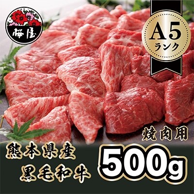 A5ランクのくまもと黒毛和牛　焼肉用　500g(山都町)