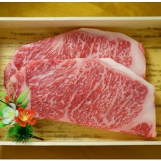 GI認証 くまもとあか牛サーロインステーキ 200g×2(山都町)