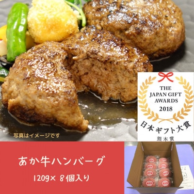 あか牛ハンバーグ　120g×8個入り(山都町)
