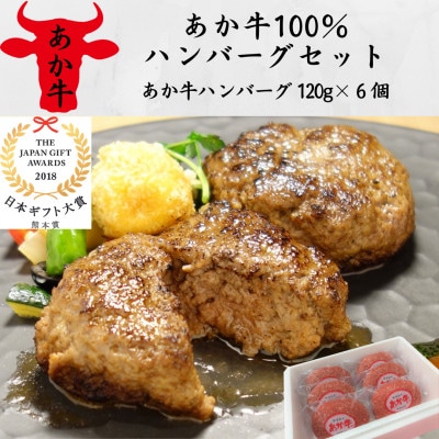 あか牛100%ハンバーグセット(あか牛ハンバーグ120g×6個)(山都町)
