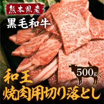 熊本県産 黒毛和牛 和王 焼肉用切り落とし 500g(山都町)