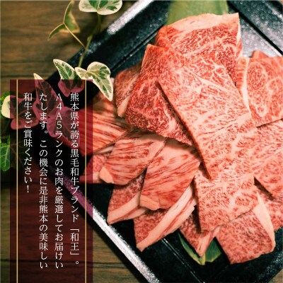 熊本県産 黒毛和牛 和王 焼肉用切り落とし 500g(山都町)