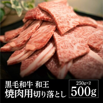 熊本県産 黒毛和牛 和王 焼肉用切り落とし 500g(山都町)