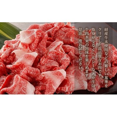 熊本県産　GI認証取得　くまもとあか牛　切り落とし1.2kg(山都町)