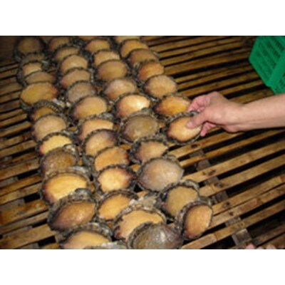 伊勢志摩産天然鮑の姿煮　磯笛あわび・さざえ三種詰合せ(N-6)