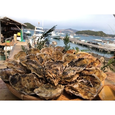 三重県鳥羽浦村産　生食用殻つき牡蠣　20個入 I-55