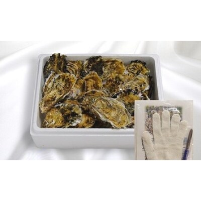 三重県鳥羽浦村産　生食用殻つき牡蠣　20個入 I-55