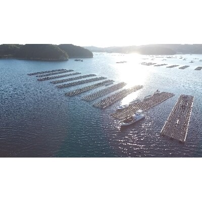 三重県鳥羽浦村産　生食用殻つき牡蠣20個入と剥き身牡蠣500gのセット　17-04