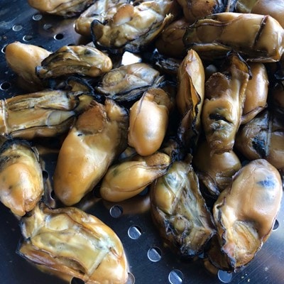 鳥羽産かきのスモーク8袋セット(J-53)