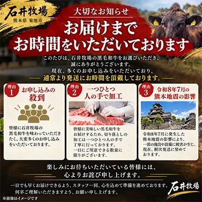 【2027年1月中旬以降順次発送】熊本県産<訳あり>黒毛和牛切り落とし計1kg(500g×2パック)