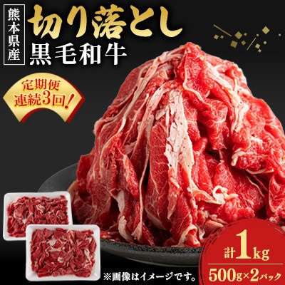 【毎月定期便】【熊本県産】黒毛和牛切り落とし計1kg(500g×2パック)全3回