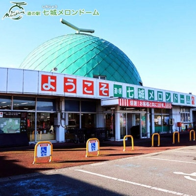 【2025年5月下旬より順次発送】七城メロンドーム　肥後グリーンメロン1玉