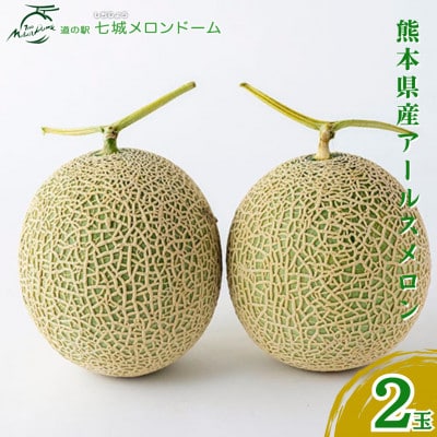 【2025年7月下旬より順次発送】七城メロンドーム　アールスメロン2玉