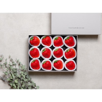 【産地直送】ツツミイチゴ(ひのしずく)贅沢 (約540g[約45g×12玉])【熊本県菊池産】