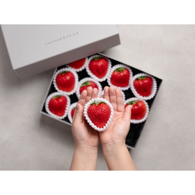 【産地直送】ツツミイチゴ(ひのしずく)贅沢 (約540g[約45g×12玉])【熊本県菊池産】