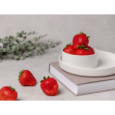 【産地直送】ツツミイチゴ(ひのしずく)贅沢 (約540g[約45g×12玉])【熊本県菊池産】