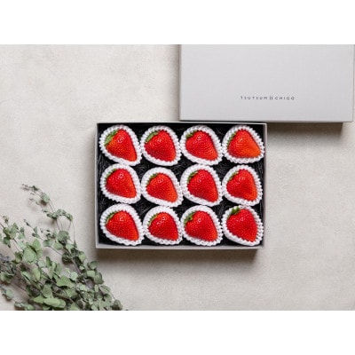 【産地直送】ツツミイチゴ(ひのしずく)プレミアム(約540g[約45g×12玉])【熊本県菊池産】