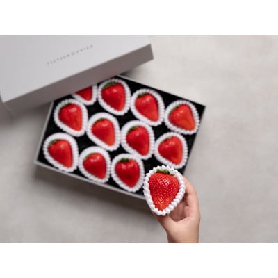 【産地直送】ツツミイチゴ(ひのしずく)プレミアム(約540g[約45g×12玉])【熊本県菊池産】