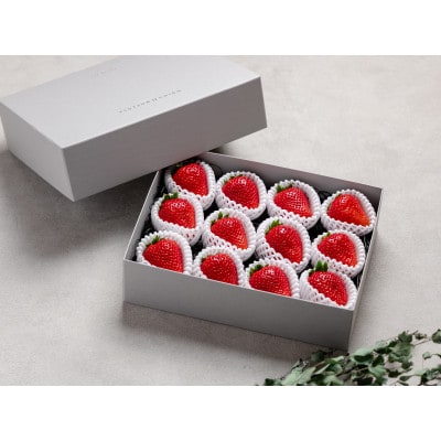 【産地直送】ツツミイチゴ(ひのしずく)プレミアム(約540g[約45g×12玉])【熊本県菊池産】