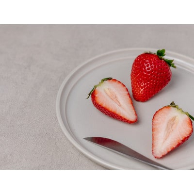 【産地直送】ツツミイチゴ(ひのしずく)プレミアム(約540g[約45g×12玉])【熊本県菊池産】