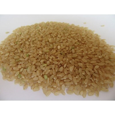 菊池掛け干し清流米　玄米　10kg
