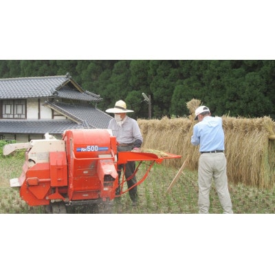 菊池掛け干し清流米　白米　5kg